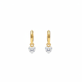 Gold Hoop Crystal Earrings - White Background